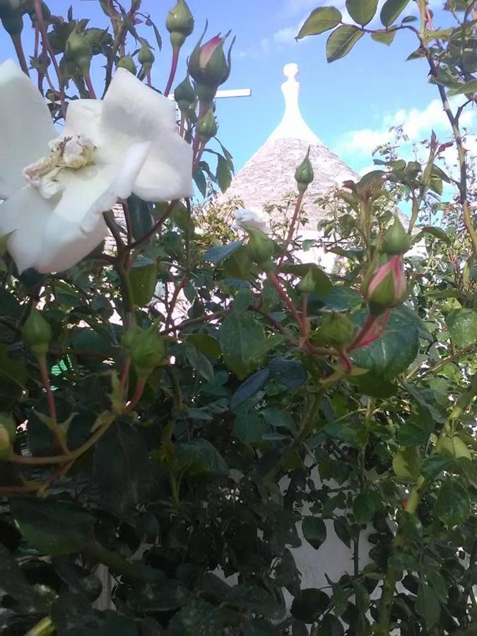 Trulli Di Ivana Остуни Екстериор снимка